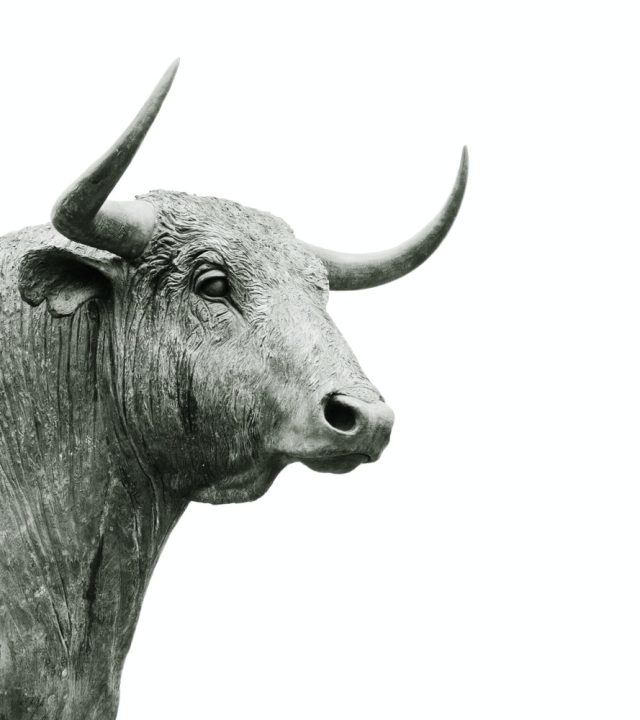 SBS group - Bull statue